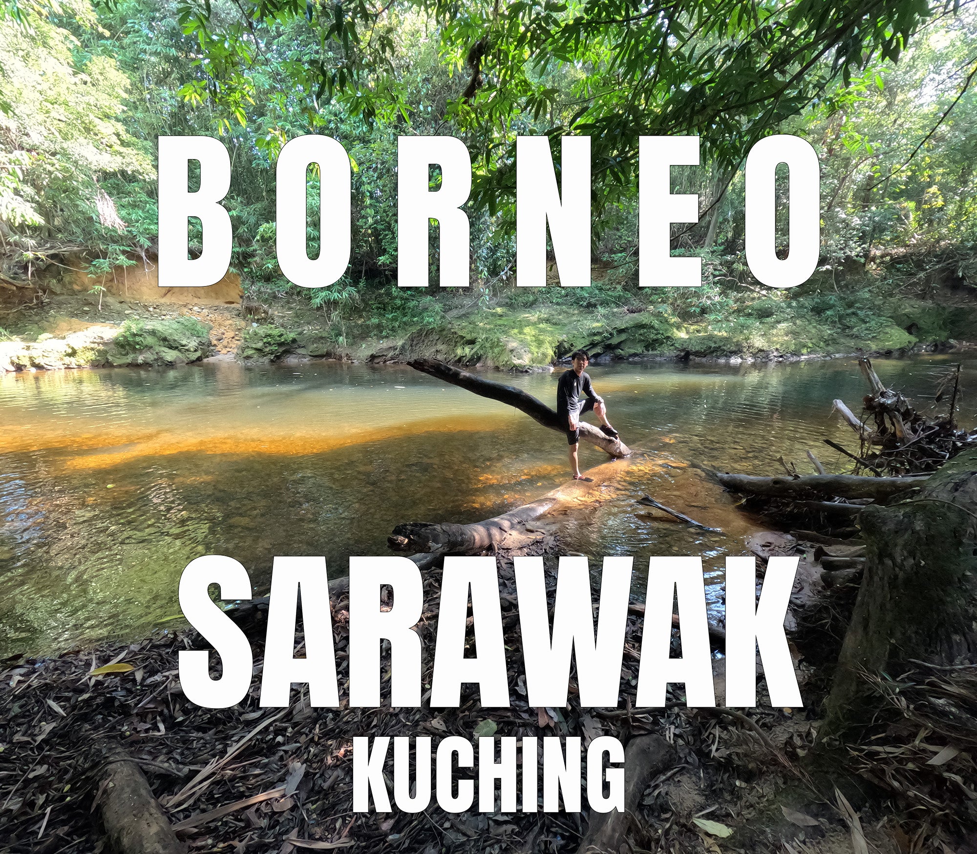 Borneo Trip: Sarawak Hillstream Loaches & Fish