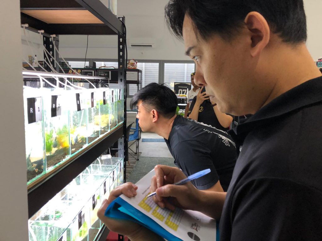 Singapore Shrimp Competition 2019 Criteria