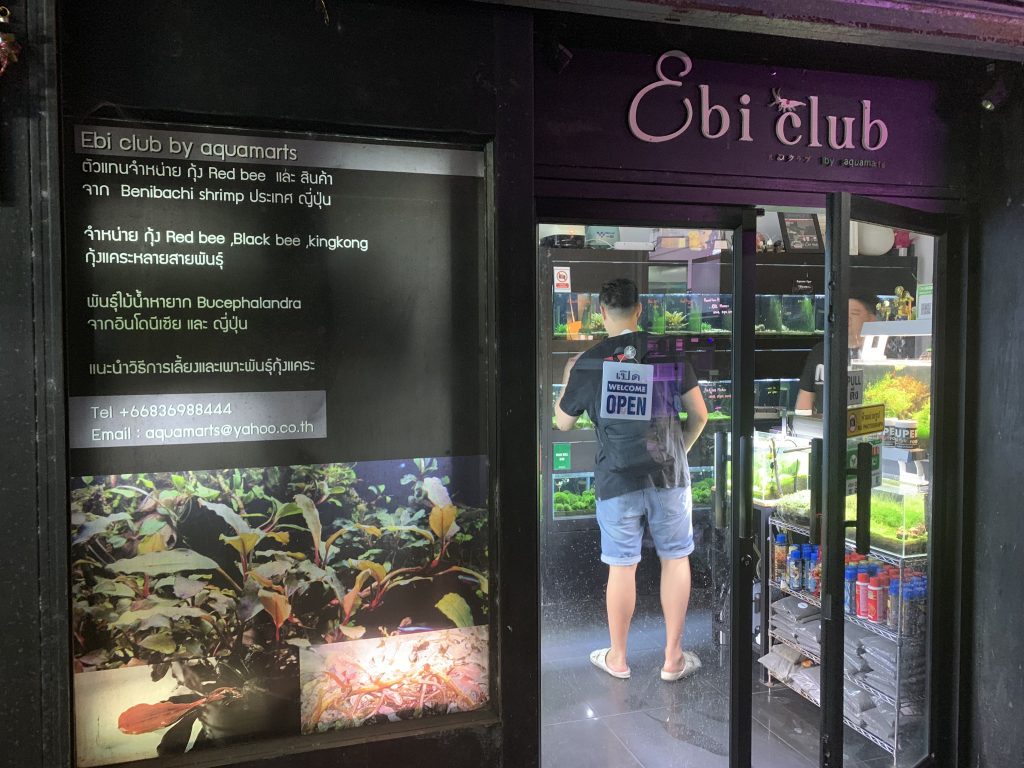 Interview: Ebiclub Thailand, Chatuchak Shrimp Store