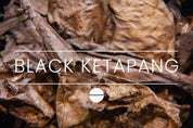 Black Ketapang leaves