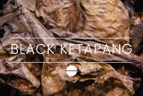 Black Ketapang