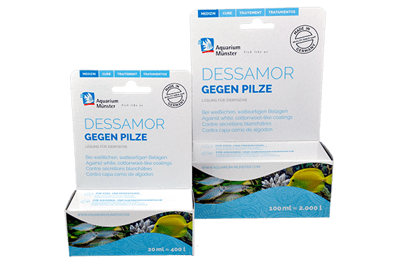 Aquarium Munster Dessamor fish fungus treatment
