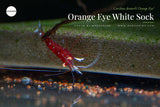 Caridina Dennerli "Orange Eye"