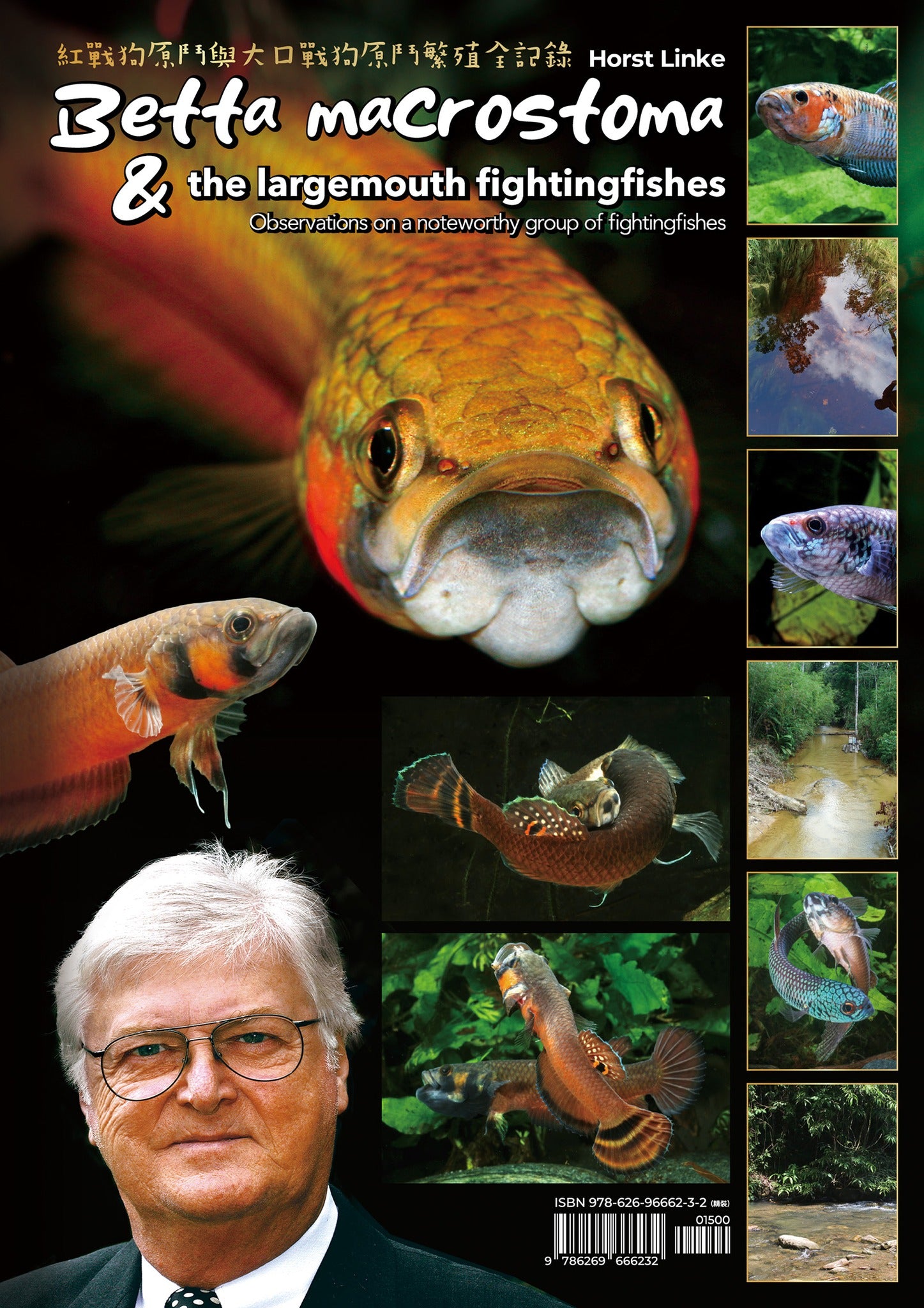 Betta macrostoma and largemouth fighting fish book by Horst Linke
