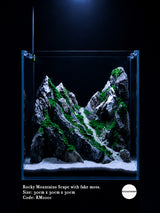 Rocky mountain RM1001