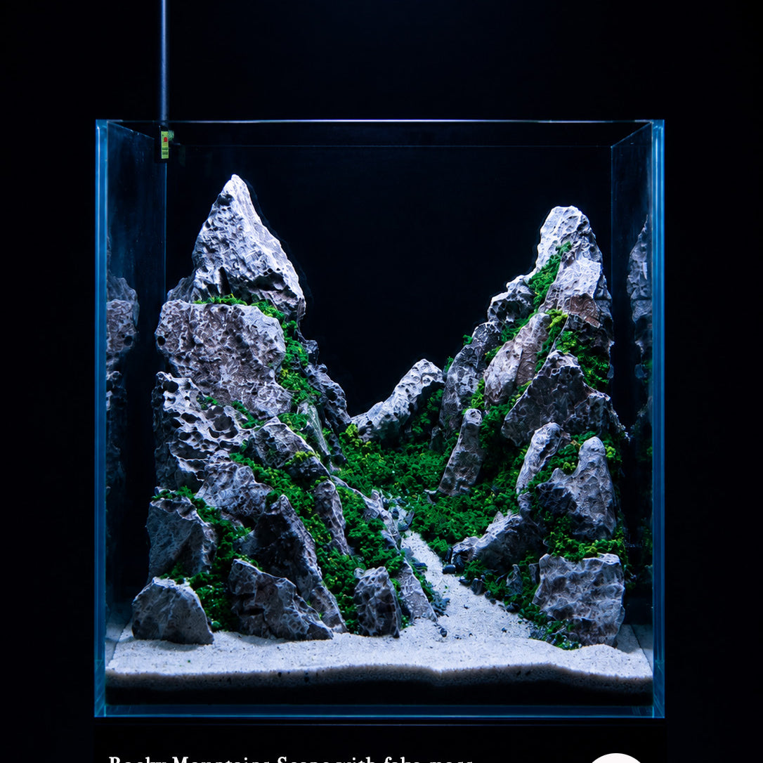 Rocky Mountain RM1002 ready-made aquascape