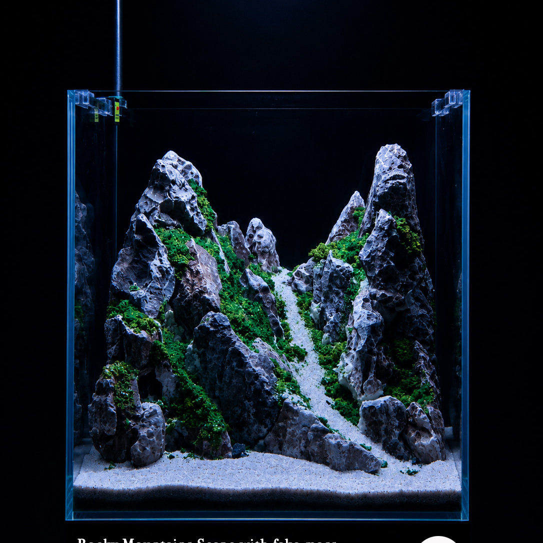 Rocky Mountain RM1003 ready-made aquascape