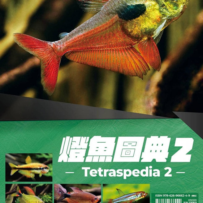 Tetraspedia 2 book