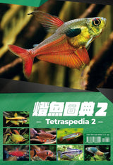 Tetraspedia 2