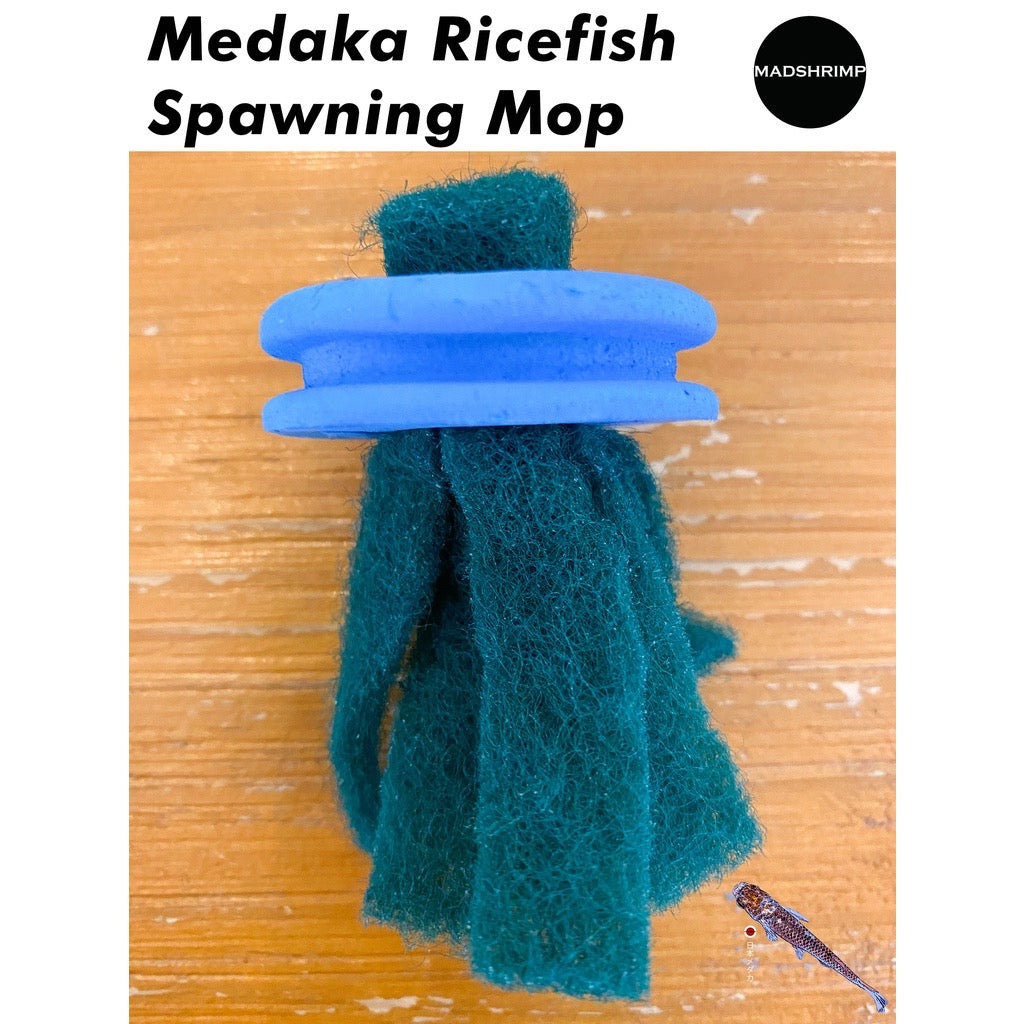 Medaka spawning mop