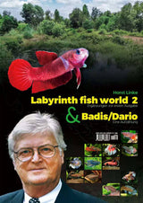 Labyrinth Fish World 2