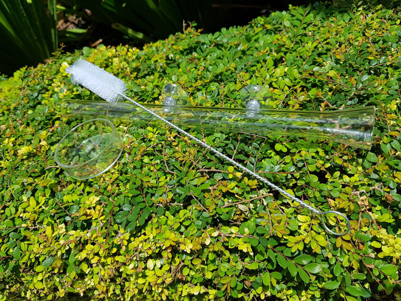 Shrimp feeding dish set