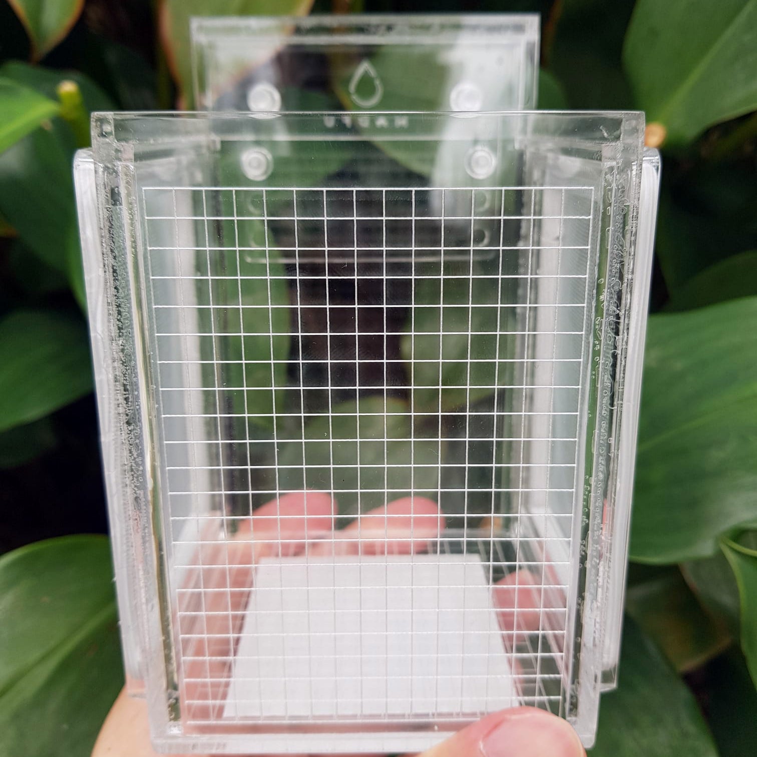 MADFU acrylic breeder box, photo 2