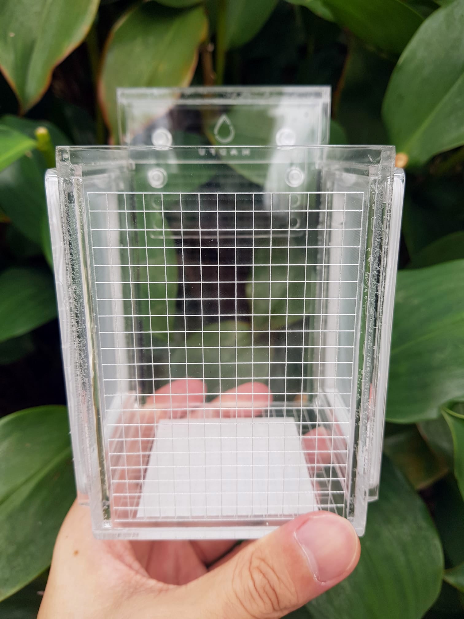 MADFU acrylic breeder box, photo 2