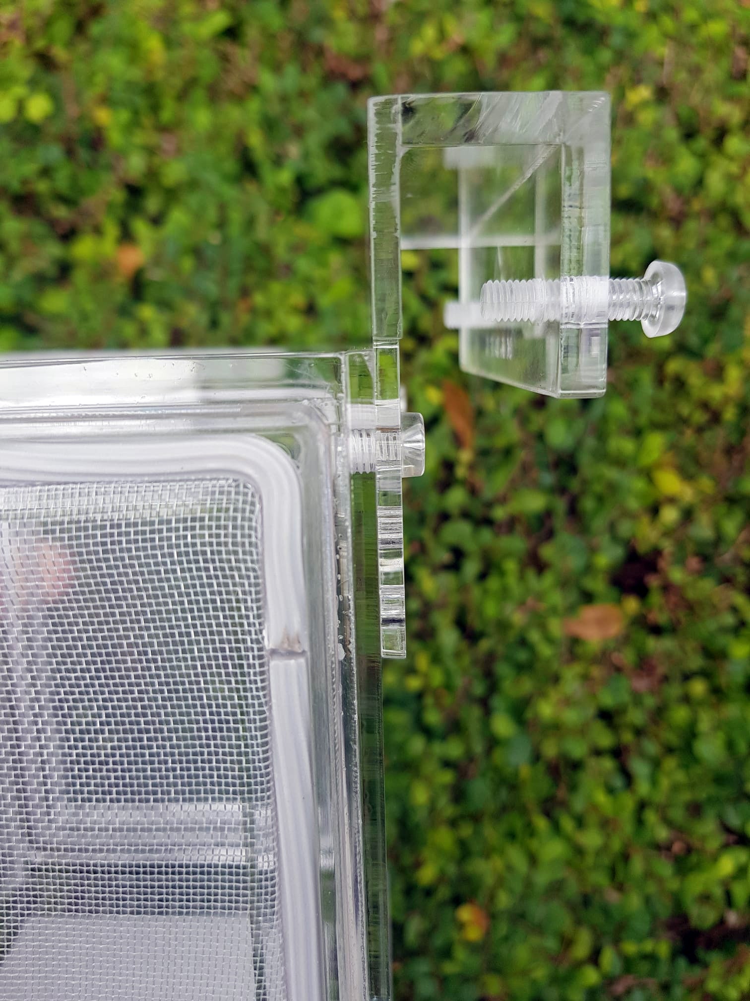 MADFU acrylic breeder box, photo 3